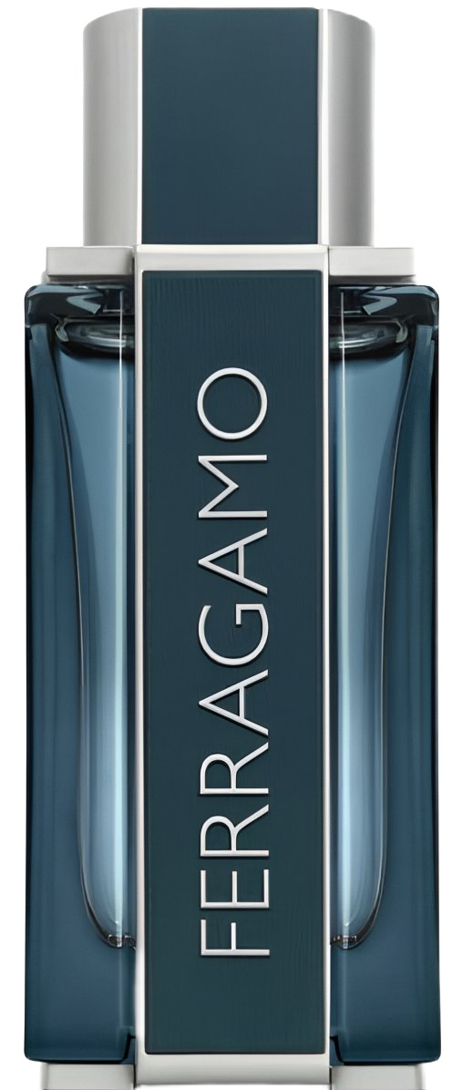 Ferragamo Intense Leather